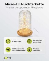 goobay LED Dekoleuchte transparent, 1 St.