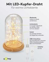 goobay LED Dekoleuchte transparent, 1 St.