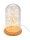 goobay LED Dekoleuchte transparent, 1 St.
