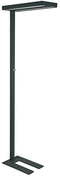 MAUL MAULjaval LED Stehlampe schwarz