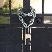 Master Lock® Vorhängeschloss 1950EURDCC gold verstellbar: 6,0 bis 15,0 cm, 1 St.