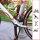 Master Lock® Fahrradschlösser 8127EURTRI mehrfarbig 1,8 m, 3 St.