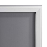 SPRINTIS  Klapprahmen silber 29,7 x 42,0 cm, 2 St.
