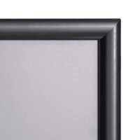 SPRINTIS  Klapprahmen schwarz 42,0 x 59,4 cm, 2 St.