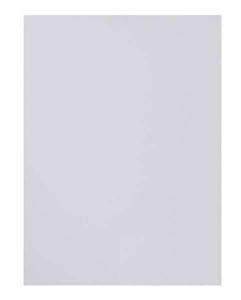 Showdown® Displays Dokumentenschutzfolien transparent A0, 2 St.