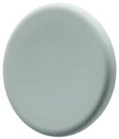Legamaster Magnete grün, Metall Ø 3,0 cm, 5 St.
