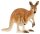 Schleich® Wild Life 14756 Känguru Spielfigur