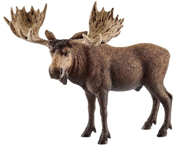 Schleich® Wild Life 14781 Elch Bulle Spielfigur  ( 14781 )
