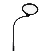 Hansa Atria LED Stehlampe schwarz 12 W