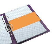 OXFORD Trennstreifen Duo orange, 160 g/qm Karton 24,0 x...