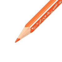 STABILO Trio® dick, kurz Animal Vibes  Buntstifte farbsortiert, 12 St.