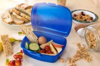 Lunchbox Jurassic World Urban blau, 1 St.