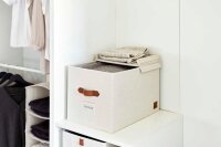 LOVE !T STORE !T Premium Aufbewahrungsbox 52,8 l beige 50,0 x 33,0 x 32,0 cm, 1 St.