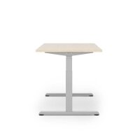 actiforce STEELFORCE 1050 elektrisch höhenverstellbares Schreibtischgestell silber ohne Tischplatte, T-Fuß-Gestell silber 115,0 - 175,0 x 75,0 cm