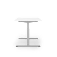 actiforce STEELFORCE 1050 elektrisch höhenverstellbares Schreibtischgestell silber ohne Tischplatte, T-Fuß-Gestell silber 115,0 - 175,0 x 75,0 cm