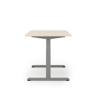 actiforce STEELFORCE 1050 elektrisch höhenverstellbares Schreibtischgestell anthrazit ohne Tischplatte, T-Fuß-Gestell anthrazit 115,0 - 175,0 x 75,0 cm