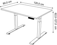 Kerkmann Move 1 stable elektrisch höhenverstellbarer Schreibtisch lichtgrau rechteckig, T-Fuß-Gestell grau 120,0 x 80,0 cm