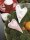 edding Fun Textilmarker farbsortiert 1,0 mm, 1 St.