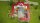 Schleich® Horse Club 42567 Reiterhof Spielfiguren-Set