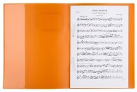 BRUNNEN Schnellhefter FACT!pp Kunststoff orange transluzent DIN A4, 1 St.