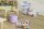 cep Aufbewahrungsbox 50,0 l transparent 69,5 x 45,0 x 24,1 cm, 1 St.
