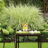 relaxdays Gartentisch braun quadratisch 77,5 x 77,5 x 74,5 cm
