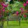 relaxdays Gartenbank 10030987_0 schwarz/bronze Metall 102,0 cm