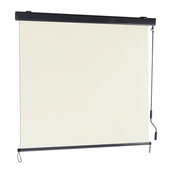 relaxdays Seitenmarkise beige 250,0 x 160,0 cm