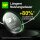 GP Knopfzellen CR2032 Lithium 3,0 V, 10 St.