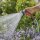 GARDENA Gartenbrause-Set Classic 18367-20