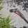 GARDENA Gartenbrause-Set Classic 18376-20
