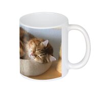 plottiX Keramiktasse für Tassenpresse weiß, 1 St.