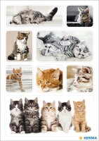 HERMA Aufkleber Katzen, 24 Etiketten