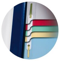 DURABLE Personalhefter DIVISOFLEX® Kunststoff blau DIN A4 5x kaufmännische Heftung, 1 St.