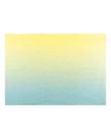 folia Seidenpapier Blumenseide SHADES OF RAINBOWS mehrfarbig, 50,0 x 70,0 cm
