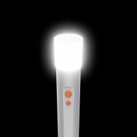 hama FL250 LED Taschenlampe silber 17,5 cm, 1 St.