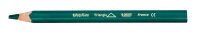 BIC Kids Evolution Triangle Buntstifte farbsortiert, 12 St.