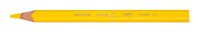 BIC Kids Evolution Triangle Buntstifte farbsortiert, 12 St.