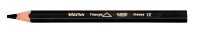 BIC Kids Evolution Triangle Buntstifte farbsortiert, 12 St.