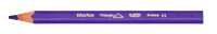 BIC Kids Evolution Triangle Buntstifte farbsortiert, 12 St.
