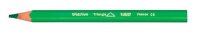 BIC Kids Evolution Triangle Buntstifte farbsortiert, 12 St.