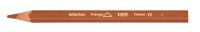 BIC Kids Evolution Triangle Buntstifte farbsortiert, 12 St.