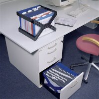 DURABLE Hängeregistraturkorb mit Mappen CARRY PLUS schwarz