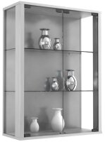 VCM my home Udina Hängevitrine silber 2 Fachböden