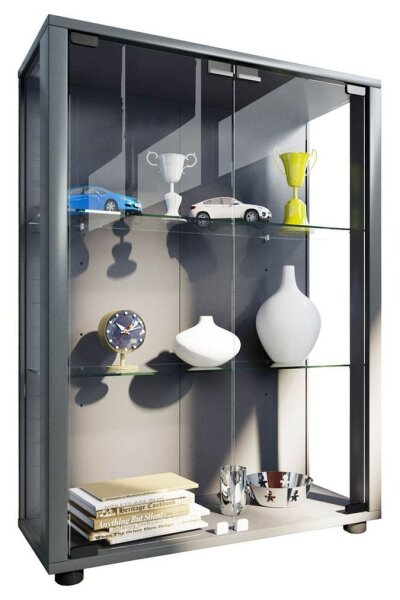 VCM my home Sintalo Vitrine silber 2 Fachböden