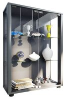 VCM my home Sintalo Vitrine silber 2 Fachböden