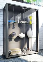 VCM my home Sintalo Vitrine silber 2 Fachböden