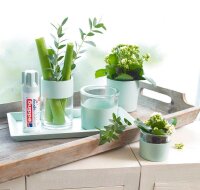 edding 5200 Acrylspray Sprühfarbe Mellow mint matt, 1 St.
