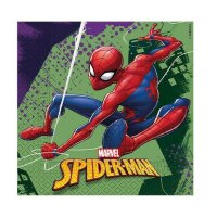 Party-Set S Spiderman 52-tlg., 1 Set