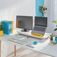 LEITZ Ergo Cosy mit Ablage Schreibtischaufsatz grau , 1 St.